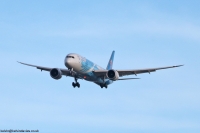 China Southern 787 B-20CJ