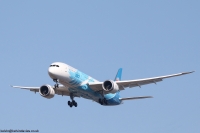 China Southern 787 B-20C6