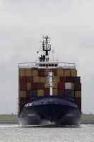 Magnus F