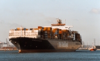 P&O NEDLLOYD SOUTHAMPTON