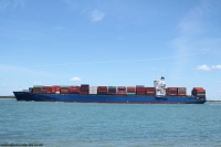 Sydney Trader