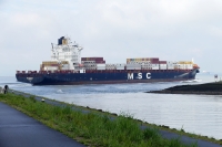 MSC VIDISHA R.