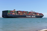 YM WIDTH
