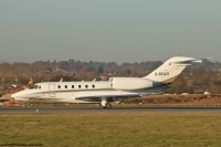 Citation X D-BEAR
