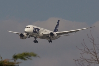 LOT 787 SP-LRB