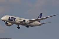 LOT 787 SP-LRB