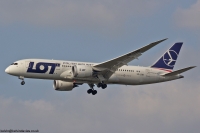 LOT 787 SP-LRB