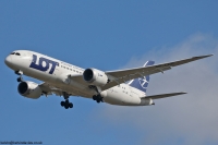 LOT 787 SP-LRE