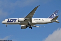 LOT 787 SP-LRE