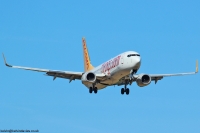 Pegasus Airlines 737NG TC-AHP