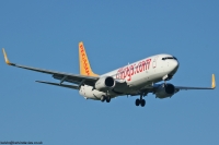 Pegasus Airlines 737NG TC-ASP