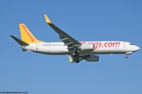 Pegasus Airlines B737NG TC-AVP