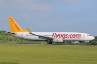 Pegasus Airlines 737NG TC-CPE