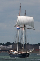 Wylde Swan