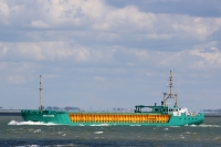 See-Stern