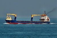 MCL ALGER