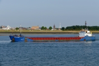 SEA KESTREL