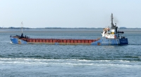 SEA KESTREL
