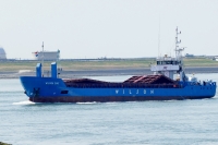 WILSON EMS
