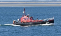 KRABBE