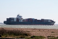 CMA CGM Manta Ray