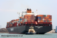 Tsingtao Express