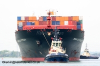 Tsingtao Express