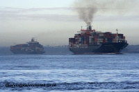 P&O Nedlloyd Marseille