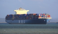 MOL CELEBRATION