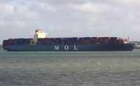 MOL CELEBRATION
