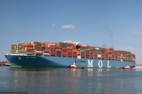 MOL Tribute