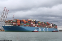 MOL Trust