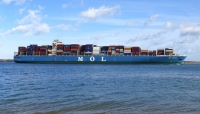 MOL BEAUTY