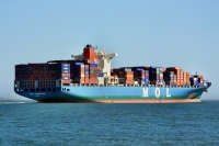 MOL CELEBRATION