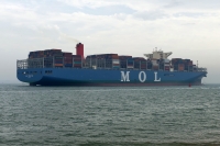 MOL TRADITION