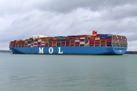MOL TREASURE