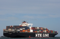 NYK Adonis