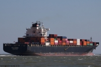 NYK Rumina