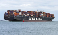 NYK IBIS