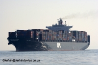 APL India