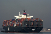 APL India
