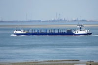 POLYBOTES