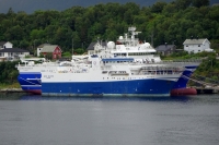 GECO BLUEFIN