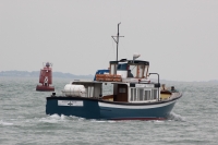 Solent Rose