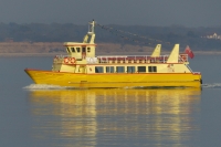 MAID OF THE HARBOUR