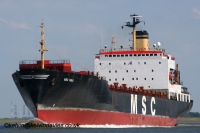 MSC Hina