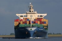 MSC Independence
