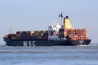 MSC Iris