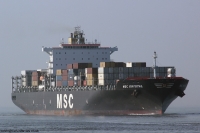 MSC Krystal