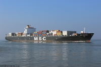 MSC Krystal